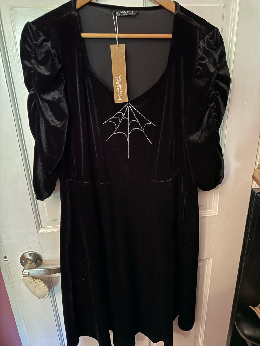 Black Velvet Dress Spiderweb Bloomchic Halloween Witchy Size 12 NWT